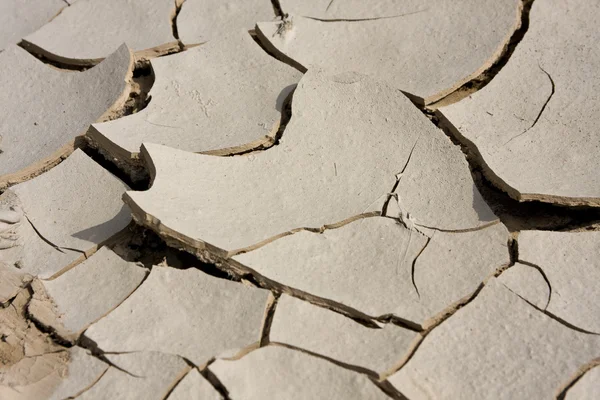 stock image Dried mud.