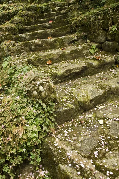 Old stair — Stock Photo, Image