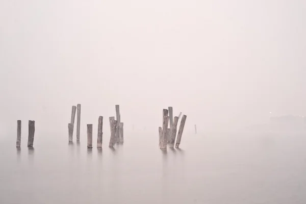 Dřevo ve vodě v mlze — Stock fotografie