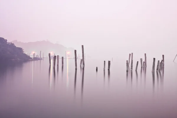 stock image Wood in water in mist