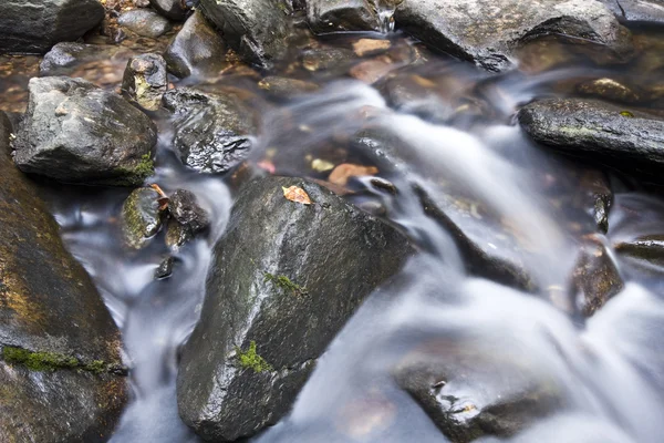 stock image Water spring