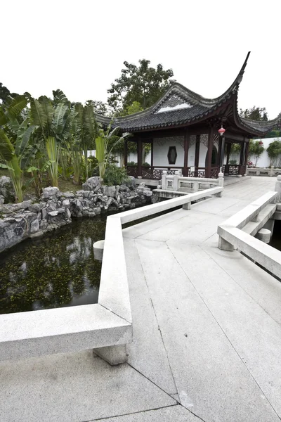 Китайский сад и пруд Стоковое Изображение