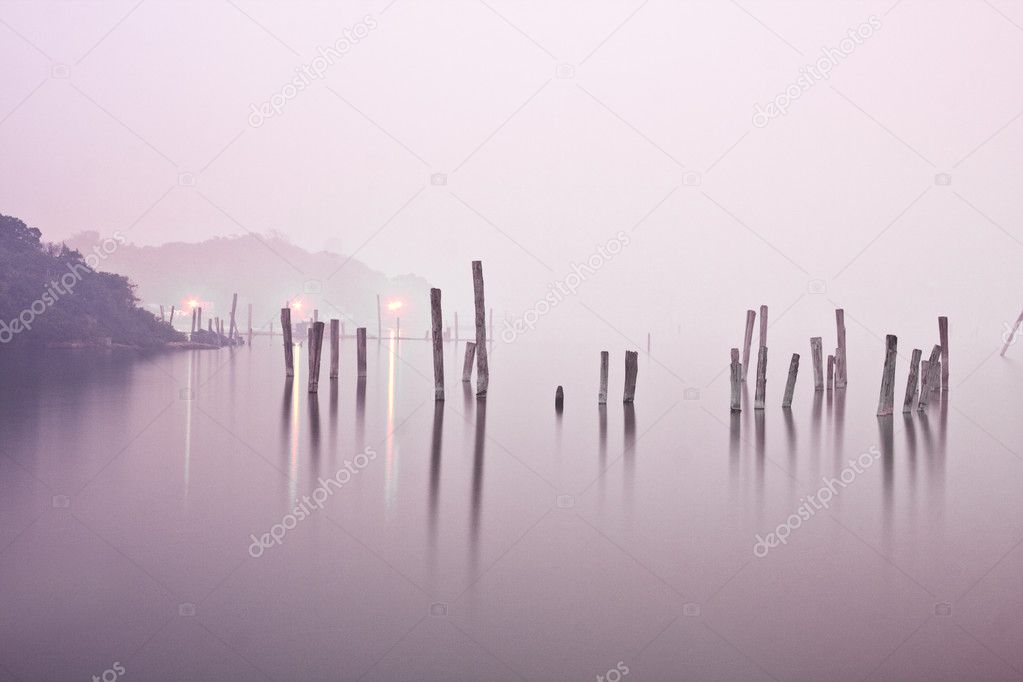 Wood in water in mist
