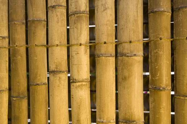 Fondo de bambú japonés — Foto de Stock