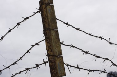 Old rusty barbed wire against sky clipart