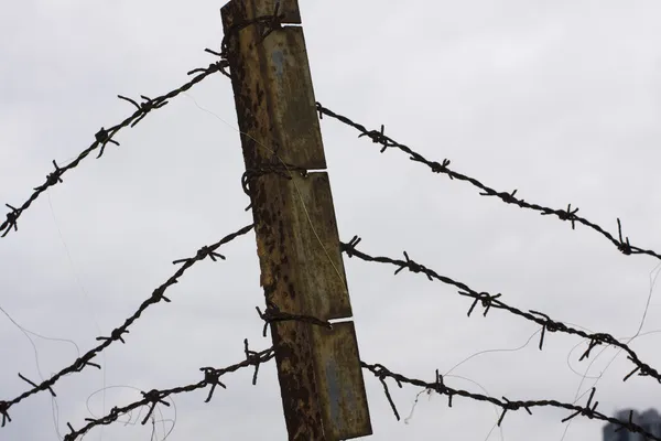 Old rusty barbed wire against sky — Stock Photo, Image
