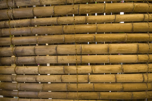 Fondo de bambú japonés — Foto de Stock