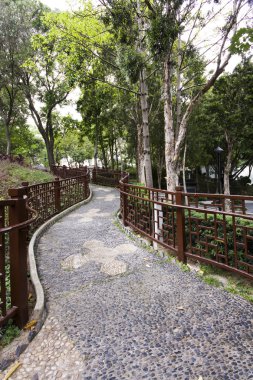 Chinese style garden with trees and plants clipart