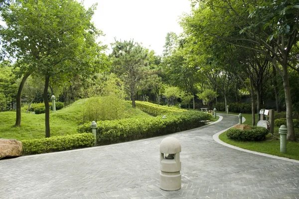 stock image Beautiful Bamboo Border