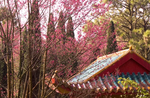 Oude prachtige priester huis in china — Stockfoto