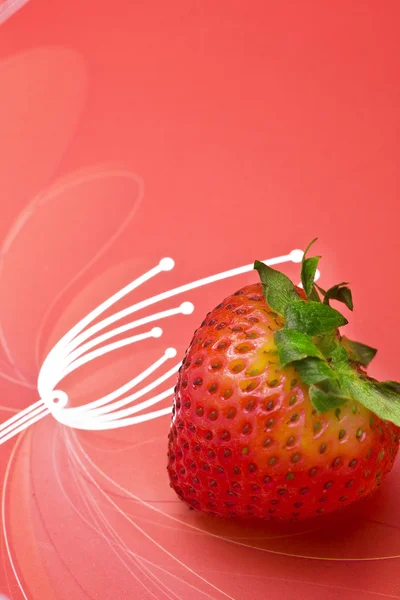 Single fresh red strawberry on red background — Stock Photo, Image
