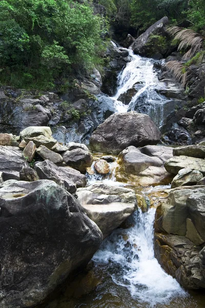 Cascada cae sobre rocas musgosas —  Fotos de Stock