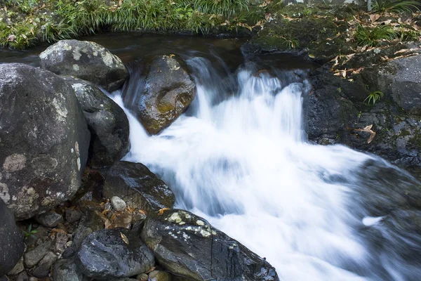 Cascada cae sobre rocas musgosas — Foto de Stock