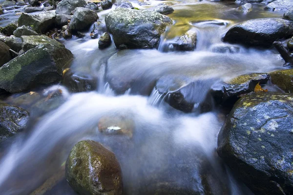 Cascade falls over mossy rocks — Stock Photo, Image