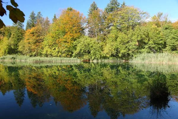 stock image Plitvice National Park