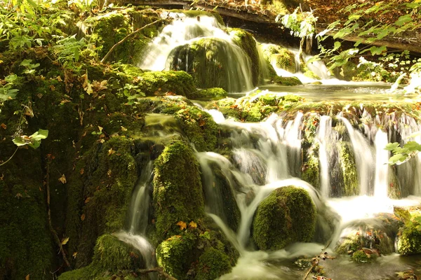 Plitvice Milli Parkı