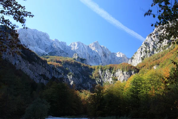 Beautiful Slovenia Alps — Stock Photo, Image
