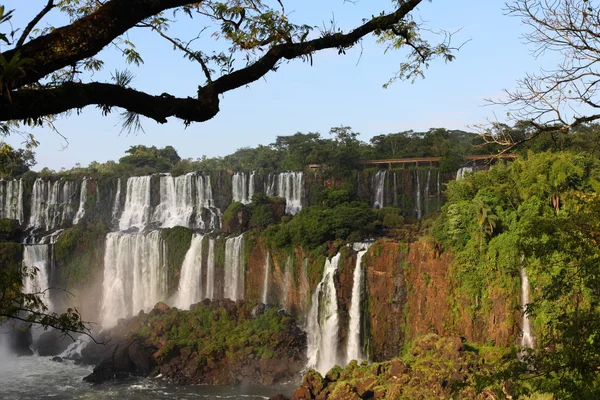 Cascate di Iguassu — Foto Stock