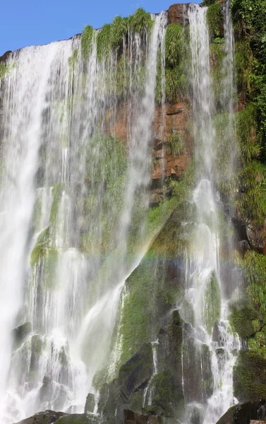 Cascada de Iguazú —  Fotos de Stock