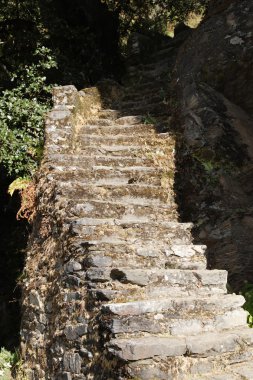 Old stone stairs clipart