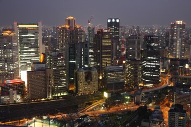 Osaka City in Japan at night clipart