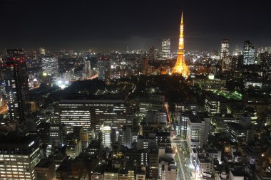 Tokyo City in Japan at night clipart