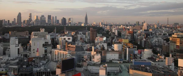 Miasta Tokio w Japonii na zachodzie słońca — Zdjęcie stockowe
