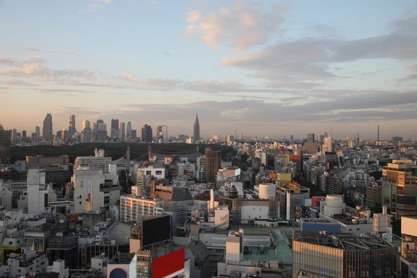 Cidade de Tóquio no Japão ao pôr do sol — Fotografia de Stock
