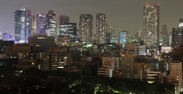 夜に日本の東京都市 — ストック写真
