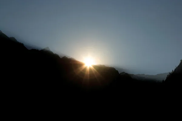 Arbres de lumière du soleil — Photo