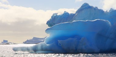 Antarctica clipart