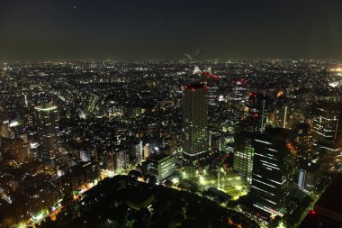 Tokyo gece