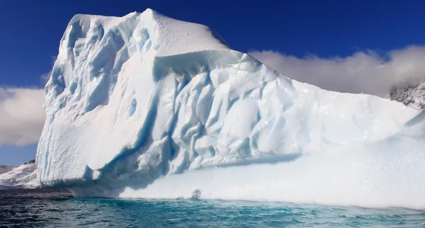 Антарктида — стоковое фото