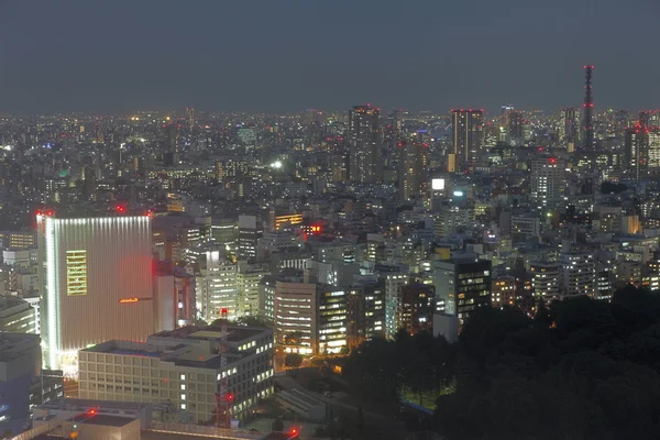 Tokio 城夜间 — 图库照片