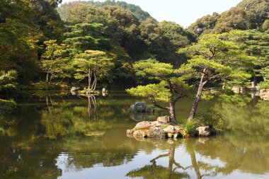Japon gölet