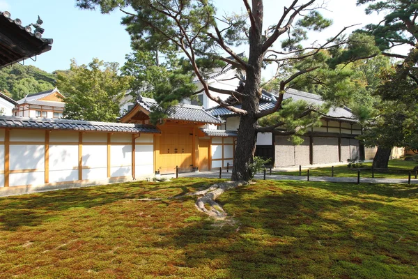 Ogród japoński — Zdjęcie stockowe