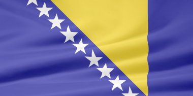 Bosna-Hersek Bayrağı