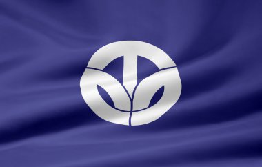 Fukui bayrak - Japonya