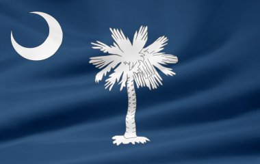 Flag of South Carolina - USA clipart