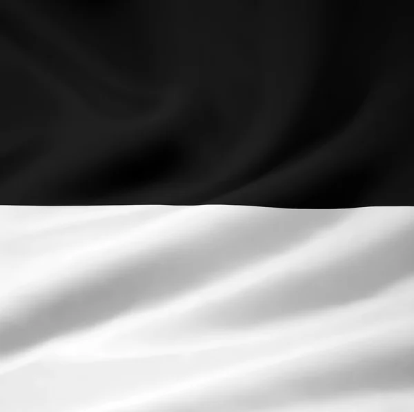 国旗的弗里堡 — 图库照片
