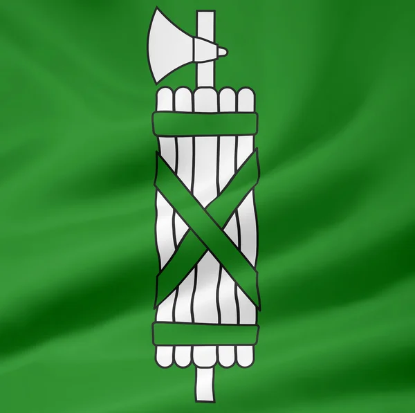 Flag of St. Gallen — Stockfoto