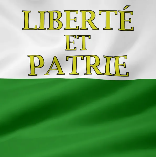 Flag of Vaud — Stock Photo, Image
