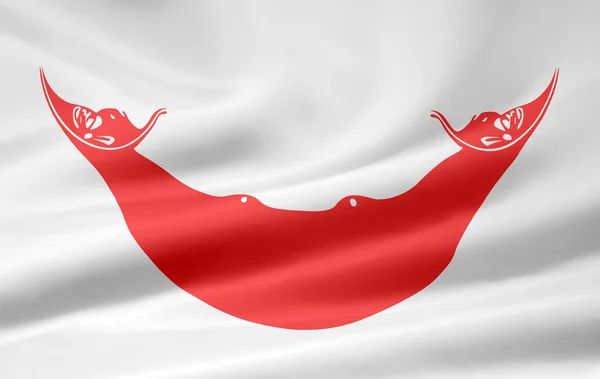 Flag of Rapanui — Stock Photo, Image
