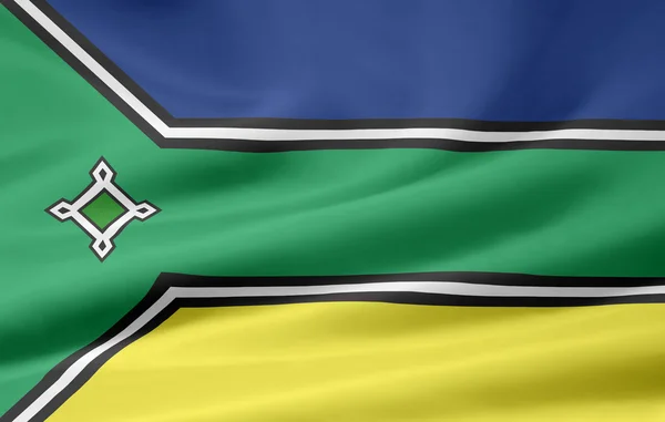 Vlajka amapa - Brazílie — Stock fotografie