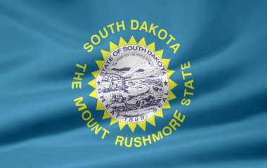 Güney dakota - ABD bayrağı