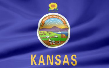 kansas - ABD bayrağı