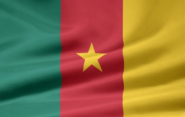 Flag of the Cameroon clipart