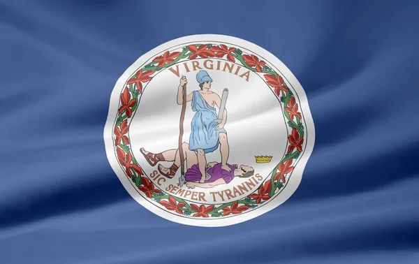 Vlajka virginia - usa — Stock fotografie