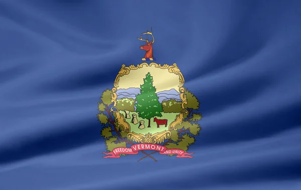 Flag of Vermont - USA — Stock Photo, Image