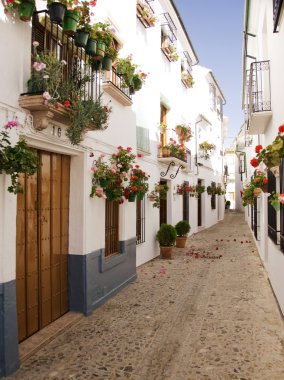 Flower lined side street Spain clipart